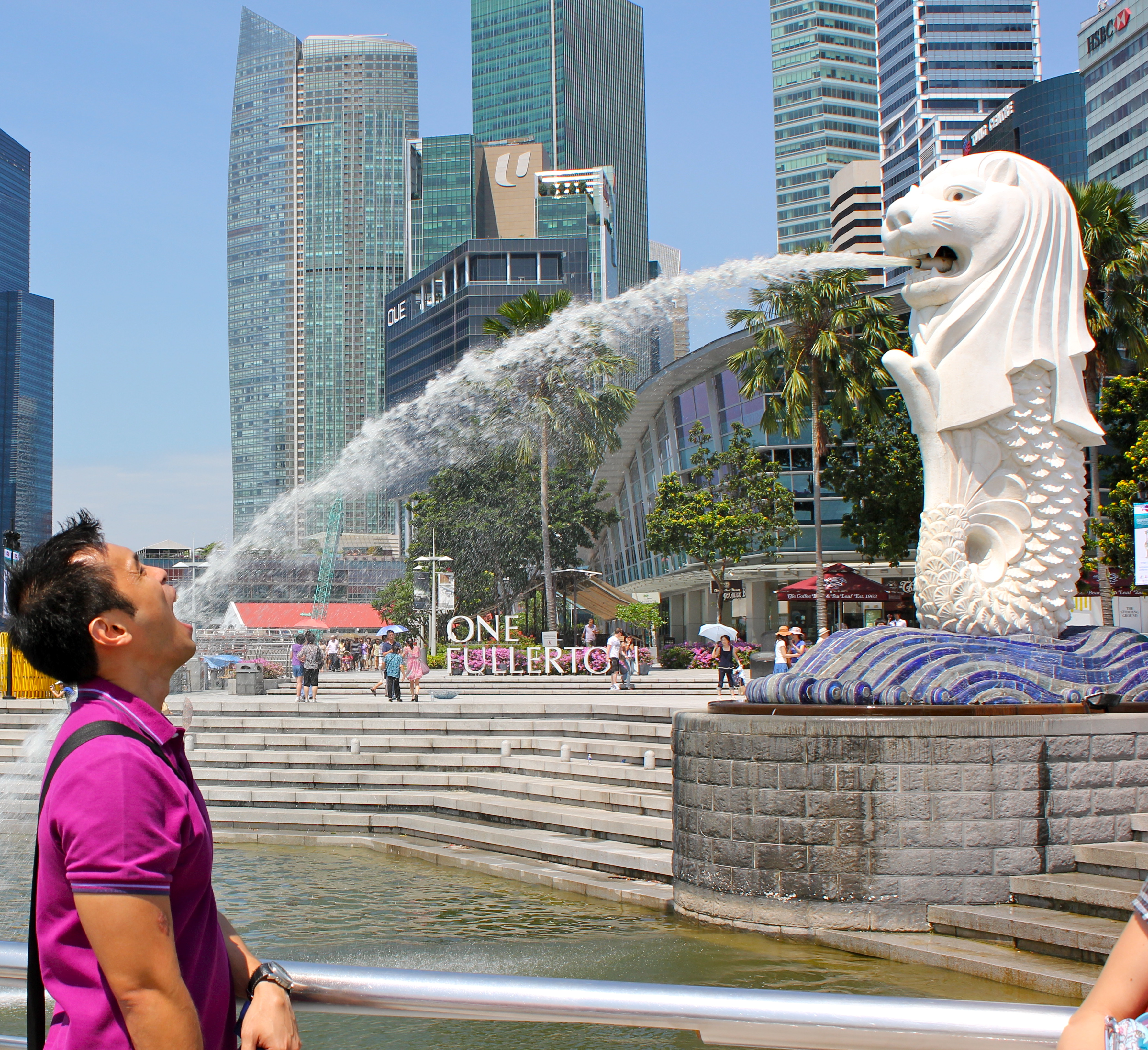 Где веселый город. Статуя Мерлиона в Сингапуре. Сингапур Singapore. Сингапур Вики. Парк Мерлион Сингапур.
